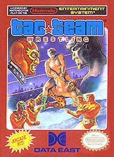 Tag Team Wrestling (USA) Nintendo GAME ROM ISO