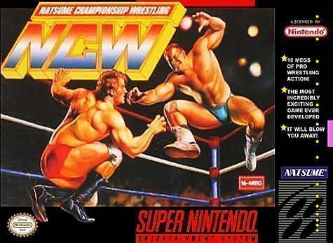 Natsume Championship Wrestling (USA) Super Nintendo GAME ROM ISO