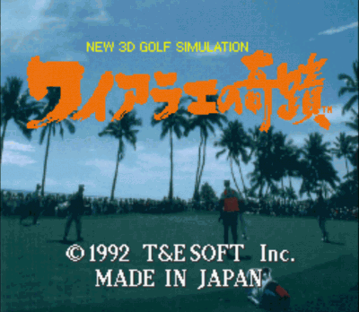 Waialae No Kiseki (Japan) Super Nintendo GAME ROM ISO